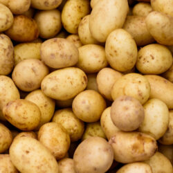 Small White Potatoes