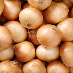 Onion background